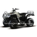 ein-/Straße 300cc ATV, QUAD BIKE 2/4WD (FA-D300)